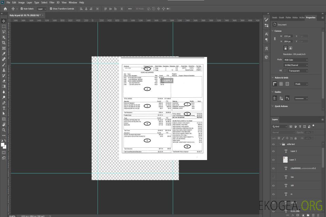 Talon de paie des employés du district scolaire unifié de Long Beach Modèle Word et PDF template Talon de paie des employés du district scolaire unifié de Long Beach Modèle Word et PDF template